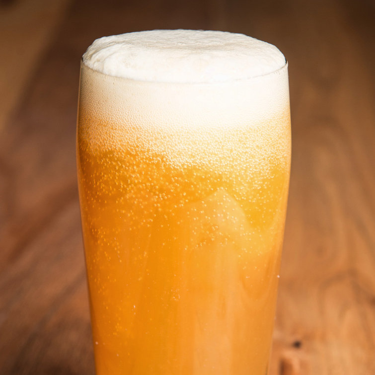 Craft A Brew American Pale Ale Craft Beer Kit & Reviews Wayfair